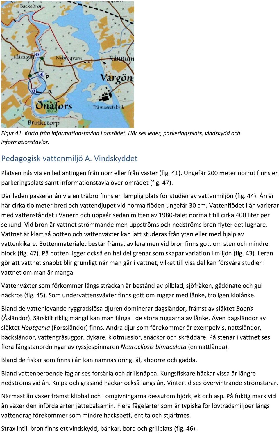 Där leden passerar ån via en träbro finns en lämplig plats för studier av vattenmiljön (fig. 44). Ån är här cirka tio meter bred och vattendjupet vid normalflöden ungefär 30 cm.