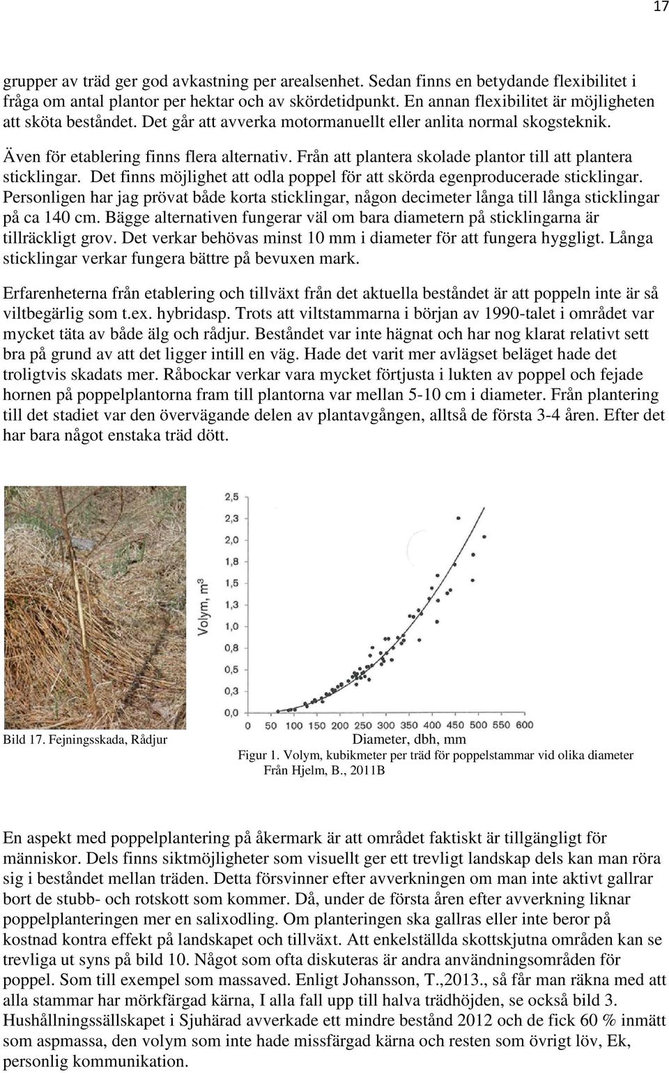 Från att plantera skolade plantor till att plantera sticklingar. Det finns möjlighet att odla poppel för att skörda egenproducerade sticklingar.