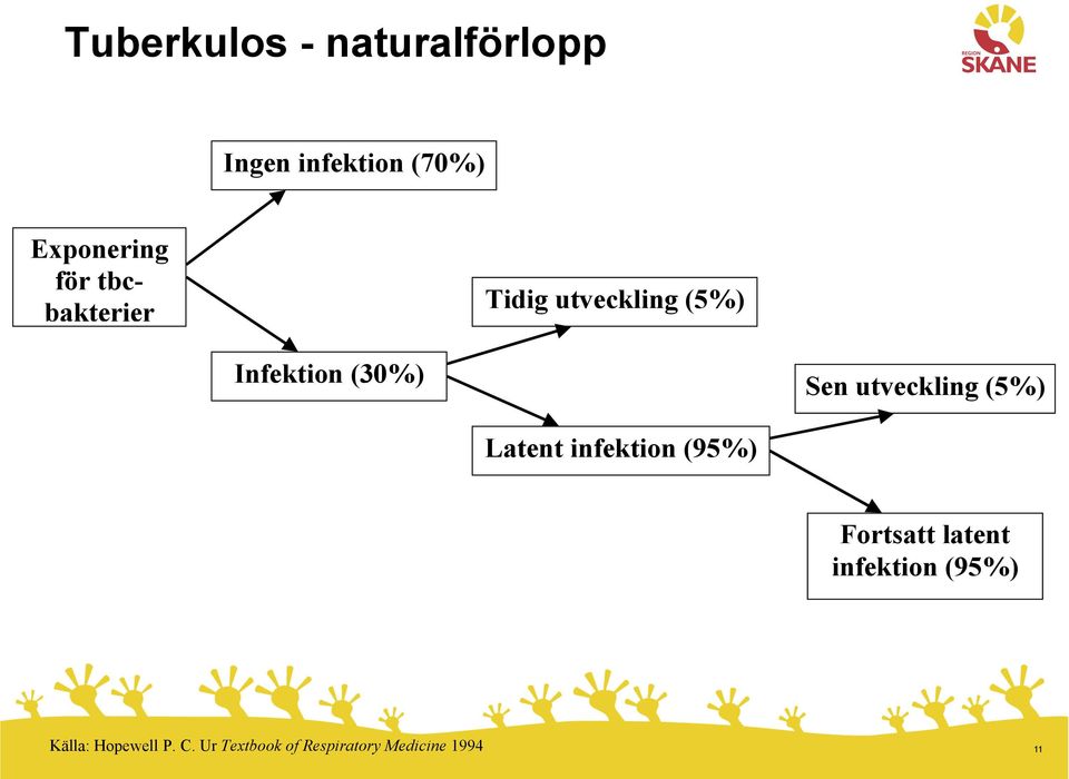 utveckling (5%) Latent infektion (95%) Fortsatt latent