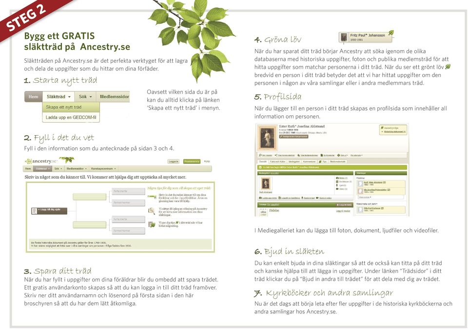 Gröna löv När du har sparat ditt träd börjar Ancestry att söka igenom de olika databaserna med historiska uppgifter, foton och publika medlemsträd för att hitta uppgifter som matchar personerna i