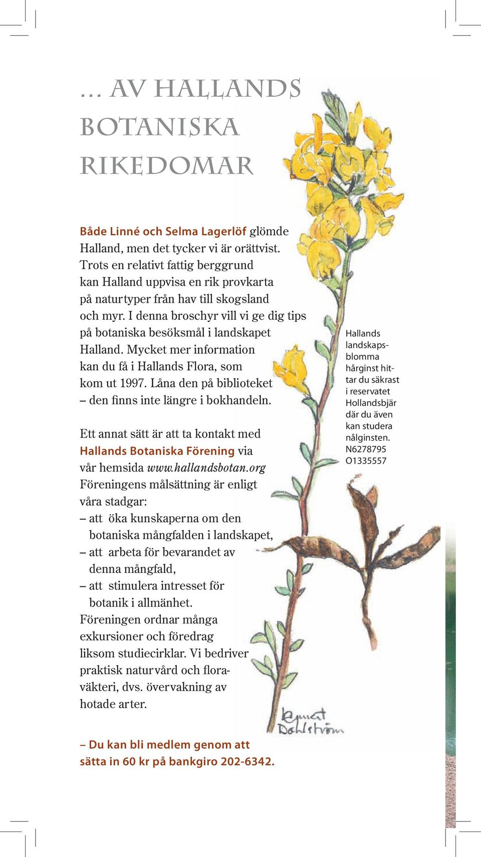 Mycket mer information kan du få i Hallands Flora, som kom ut 1997. Låna den på biblioteket den finns inte längre i bokhandeln.