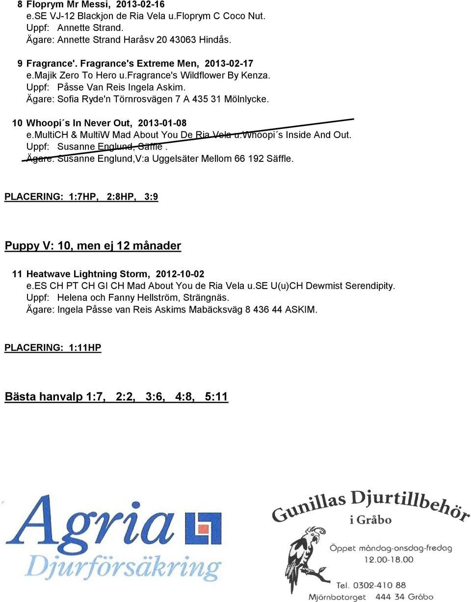 Uppf: Susanne Englund, Säffle. Ägare: Susanne Englund,V:a Uggelsäter Mellom 66 192 Säffle. PLACERING: 1:7HP, 2:8HP, 3:9 Puppy V: 10, men ej 12 månader 11 Heatwave Lightning Storm, 2012-10-02 e.