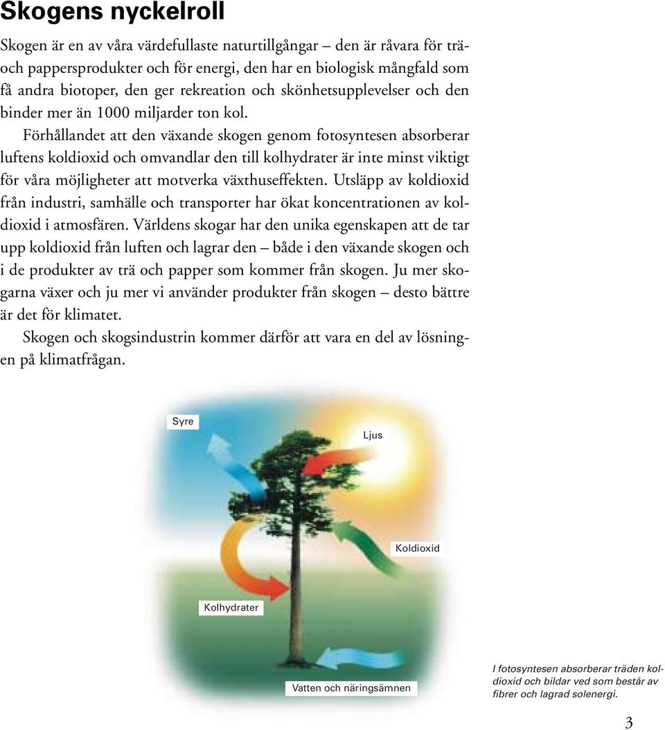 Förhållandet att den växande skogen genom fotosyntesen absorberar luftens koldioxid och omvandlar den till kolhydrater är inte minst viktigt för våra möjligheter att motverka växthuseffekten.