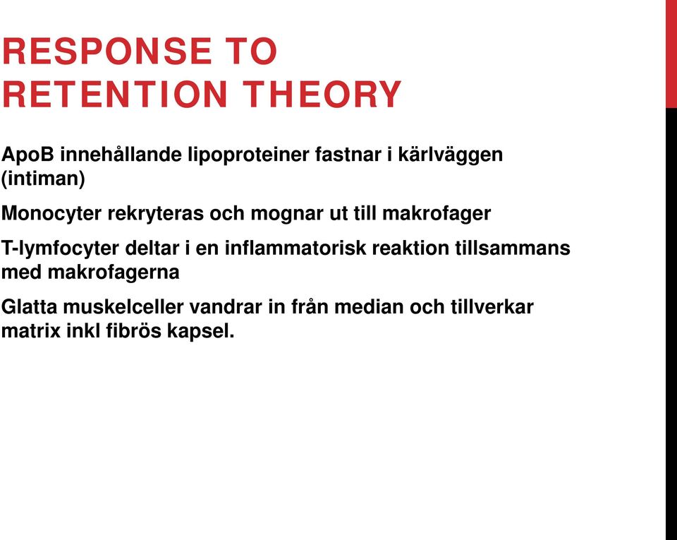 T-lymfocyter deltar i en inflammatorisk reaktion tillsammans med