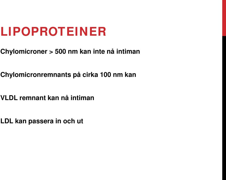 Chylomicronremnants på cirka 100 nm