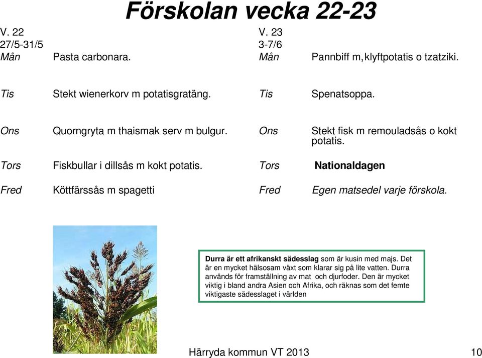 Nationaldagen Köttfärssås m spagetti Egen matsedel varje förskola. Durra är ett afrikanskt sädesslag som är kusin med majs.