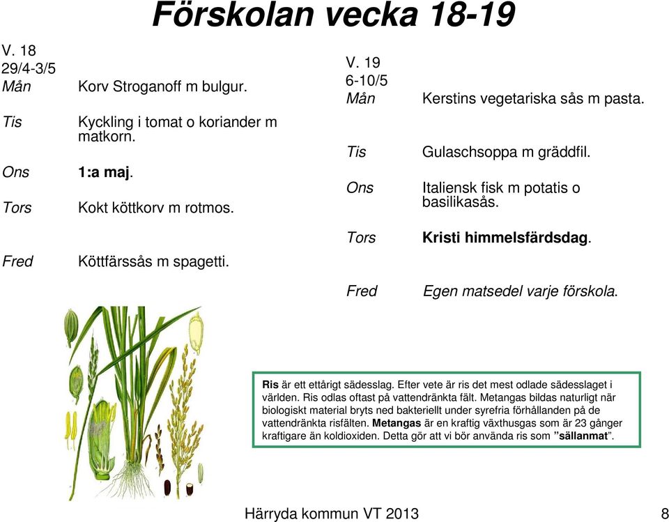 Efter vete är ris det mest odlade sädesslaget i världen. Ris odlas oftast på vattendränkta fält.