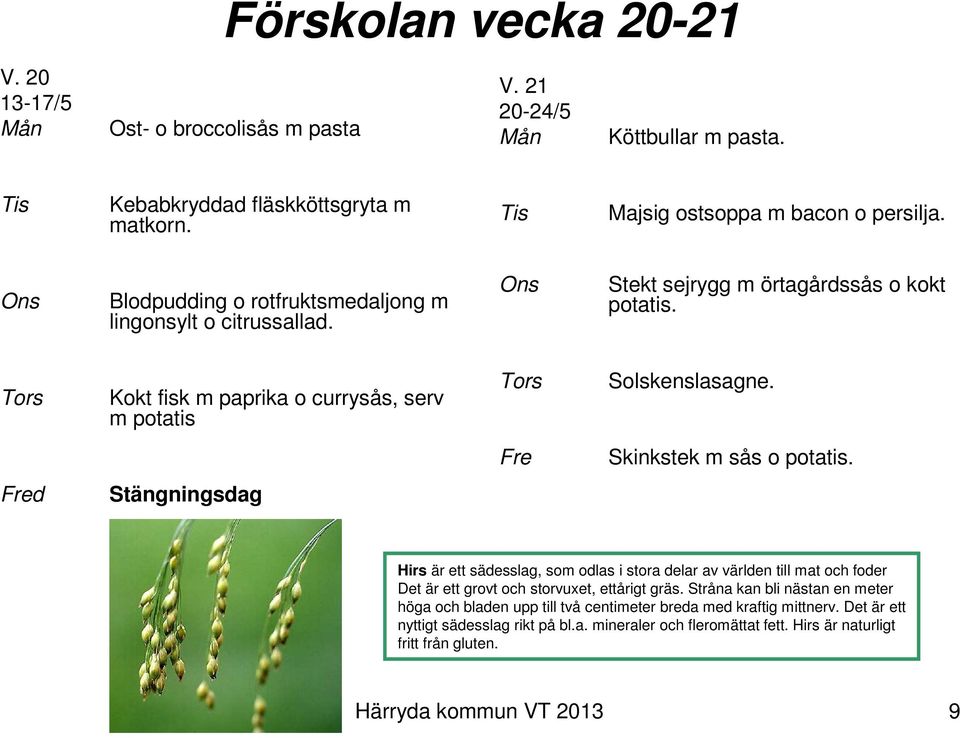 Fre Skinkstek m sås o potatis. Stängningsdag Hirs är ett sädesslag, som odlas i stora delar av världen till mat och foder Det är ett grovt och storvuxet, ettårigt gräs.