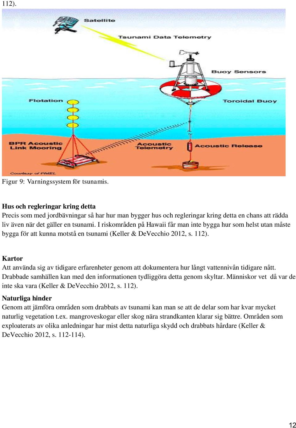 I riskområden på Hawaii får man inte bygga hur som helst utan måste bygga för att kunna motstå en tsunami (Keller & DeVecchio 2012, s. 112).