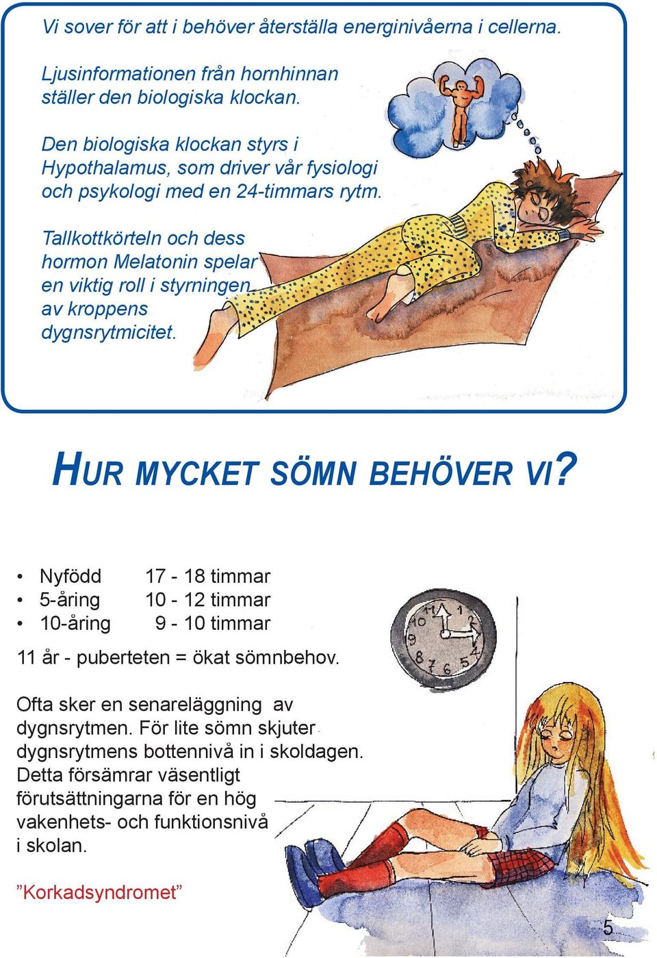 Tallkottkörteln och dess hormon Melatonin spelar en viktig roll i styrningen av kroppens dygnsrytmicitet. HUR MYCKET SÖMN BEHÖVER VI?