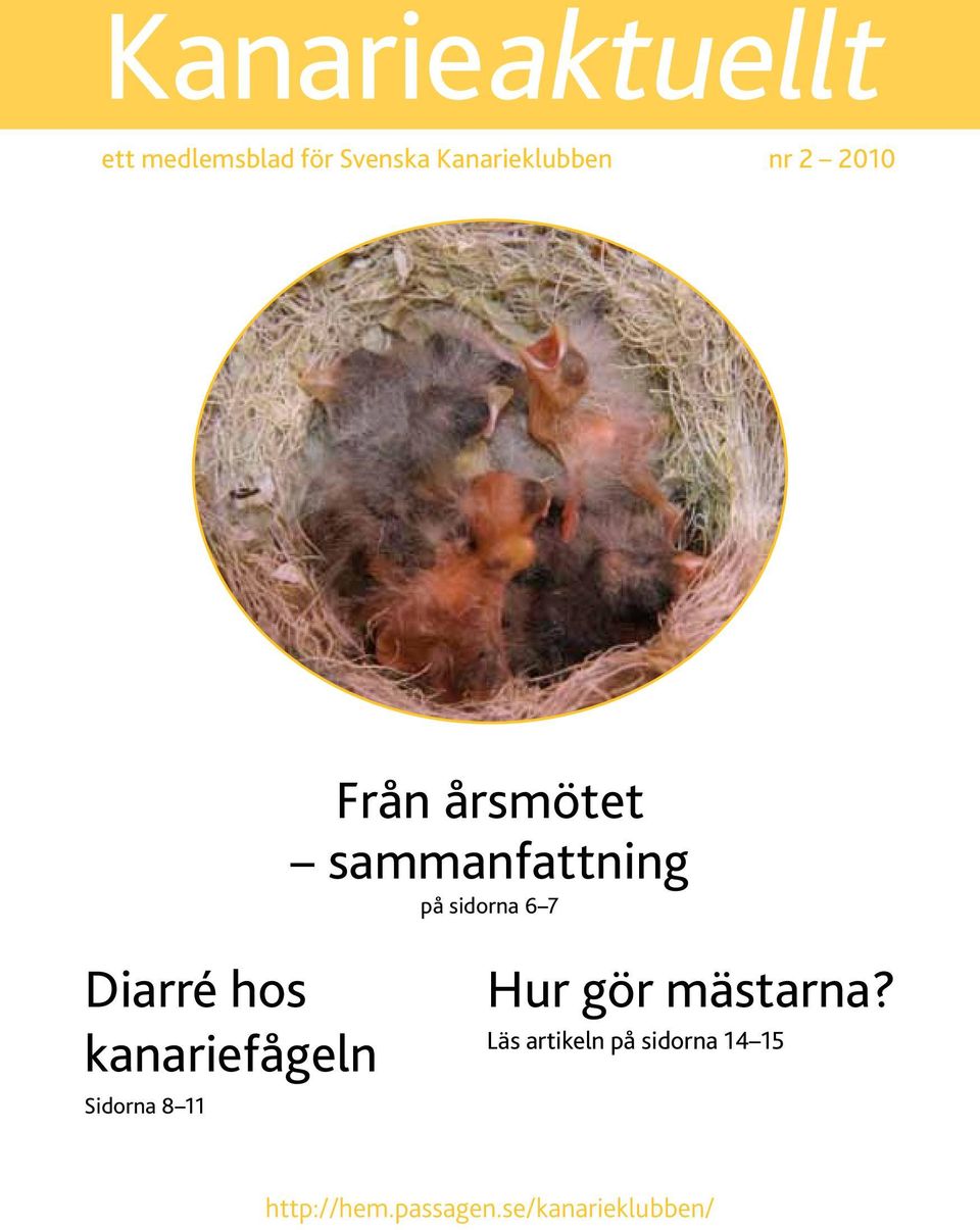 Diarré hos kanariefågeln Sidorna 8 11 Hur gör mästarna?