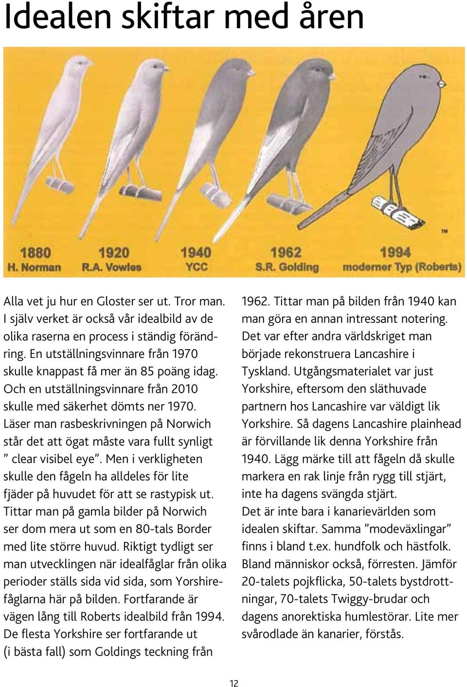 Läser man rasbeskrivningen på Norwich står det att ögat måste vara fullt synligt clear visibel eye. Men i verkligheten skulle den fågeln ha alldeles för lite fjäder på huvudet för att se rastypisk ut.