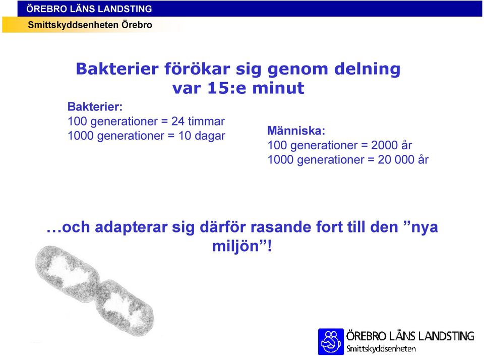 100 generationer = 2000 år 1000 generationer = 20 000 år och