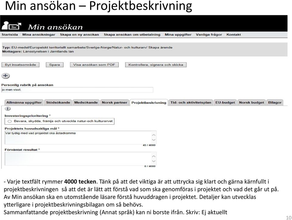 vad som ska genomföras i projektet och vad det går ut på.