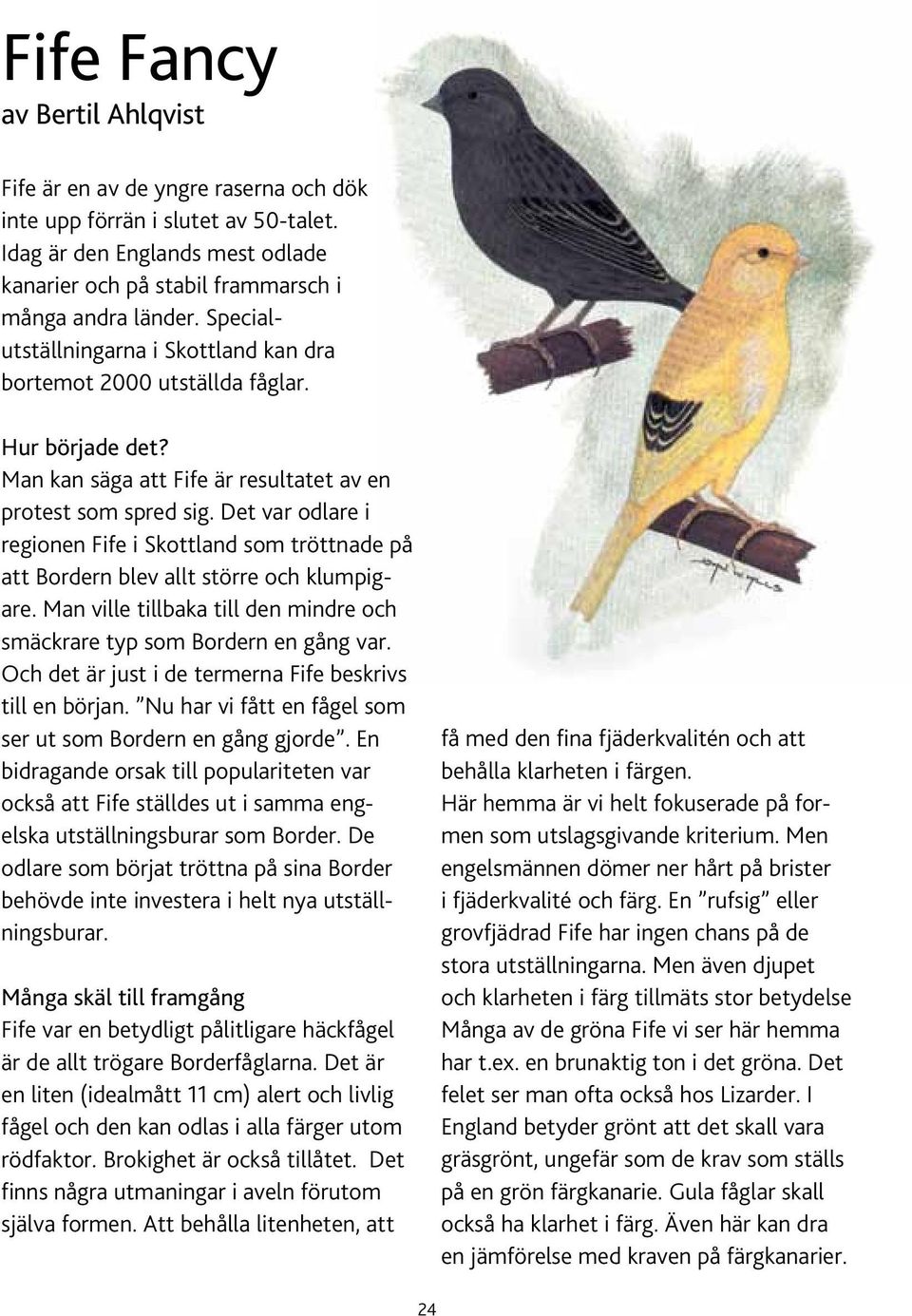 Det var odlare i regionen Fife i Skottland som tröttnade på att Bordern blev allt större och klumpigare. Man ville tillbaka till den mindre och smäckrare typ som Bordern en gång var.