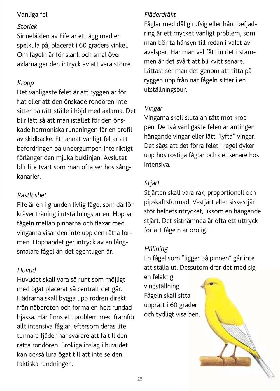 Det blir lätt så att man istället för den önskade harmoniska rundningen får en profil av skidbacke. Ett annat vanligt fel är att befordringen på undergumpen inte riktigt förlänger den mjuka buklinjen.