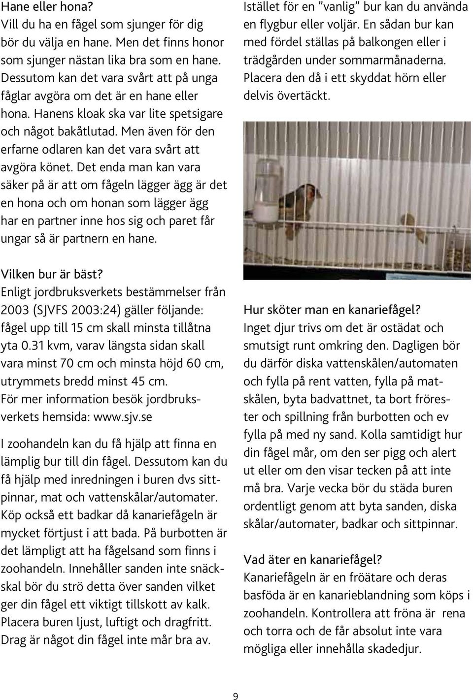 Men även för den erfarne odlaren kan det vara svårt att avgöra könet.