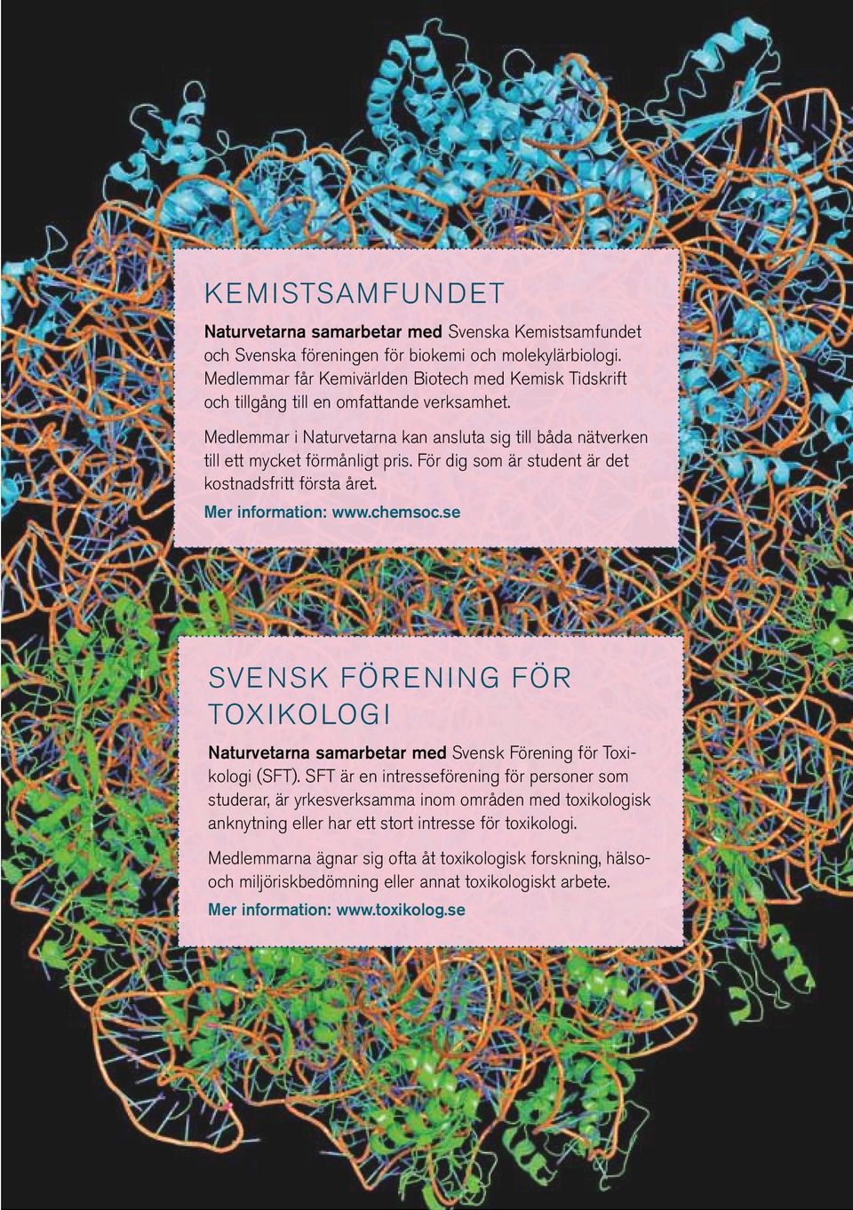 För dig som är student är det kostnadsfritt första året. Mer information: www.chemsoc.se SVENSK FÖRENING FÖR TOXIKOLOGI Naturvetarna samarbetar med Svensk Förening för Toxikologi (SFT).