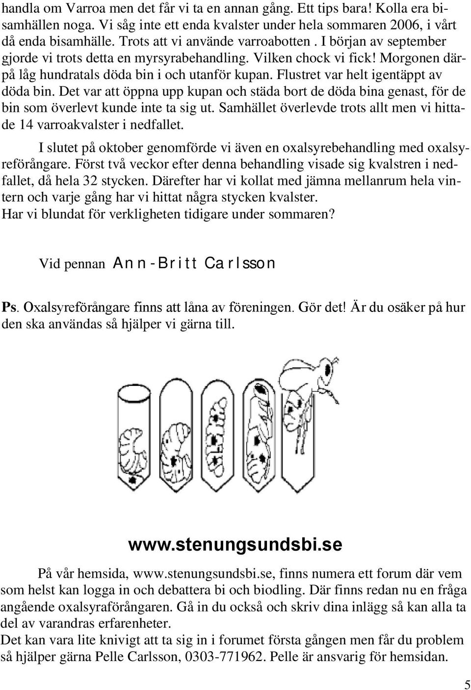 Flustret var helt igentäppt av döda bin. Det var att öppna upp kupan och städa bort de döda bina genast, för de bin som överlevt kunde inte ta sig ut.