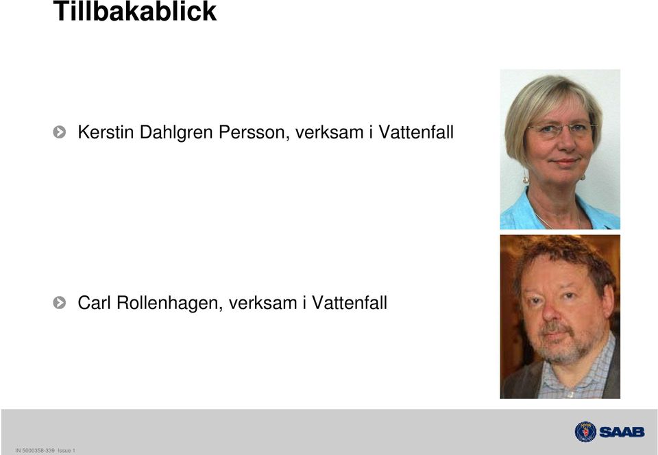 verksam i Vattenfall