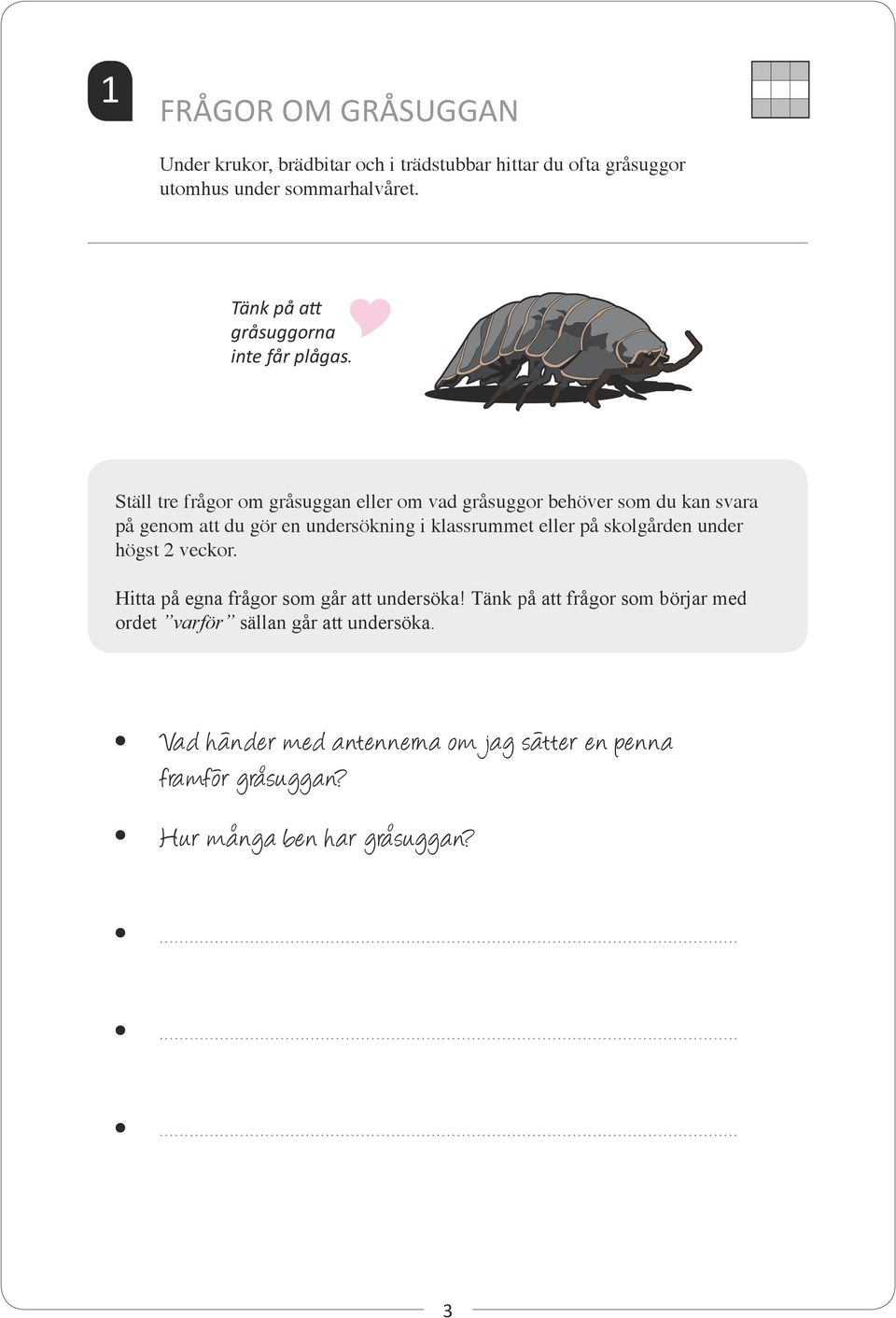 Ställ tre frågor om gråsuggan eller om vad gråsuggor behöver som du kan svara på genom att du gör en undersökning i klassrummet eller på
