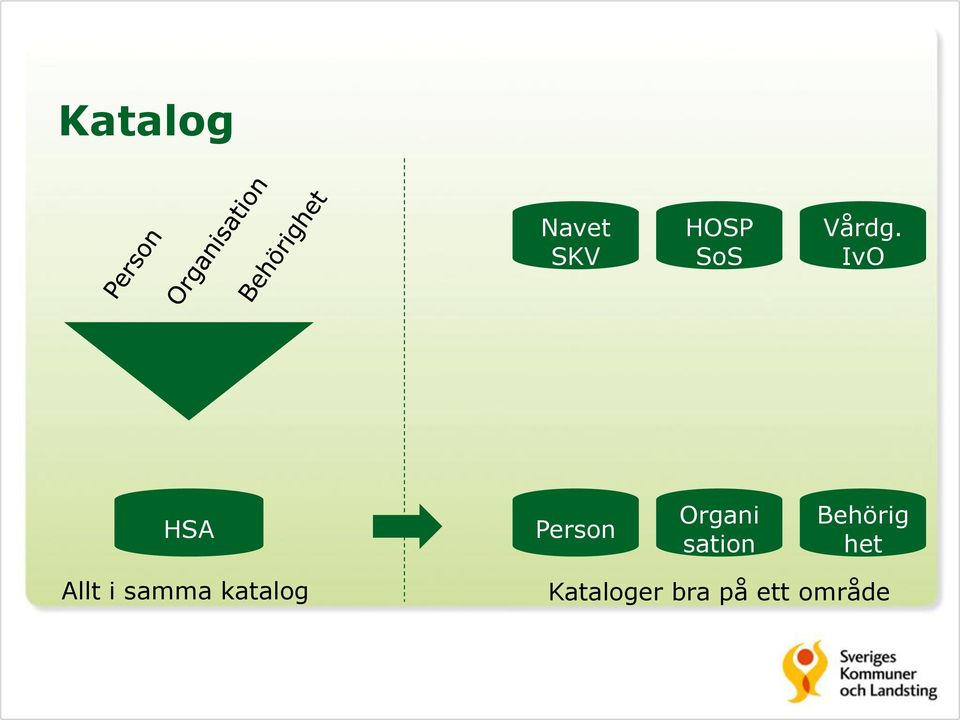 IvO HSA Person Organi sation