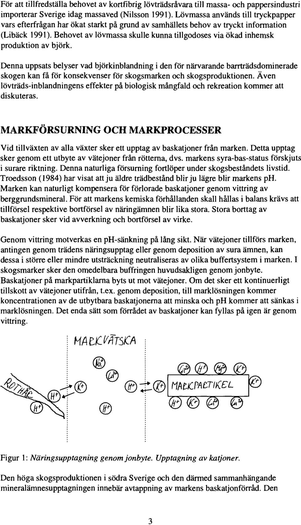 Behovet av lövmassa skulle kunna tillgodoses via ökad inhemsk produktion av björk.