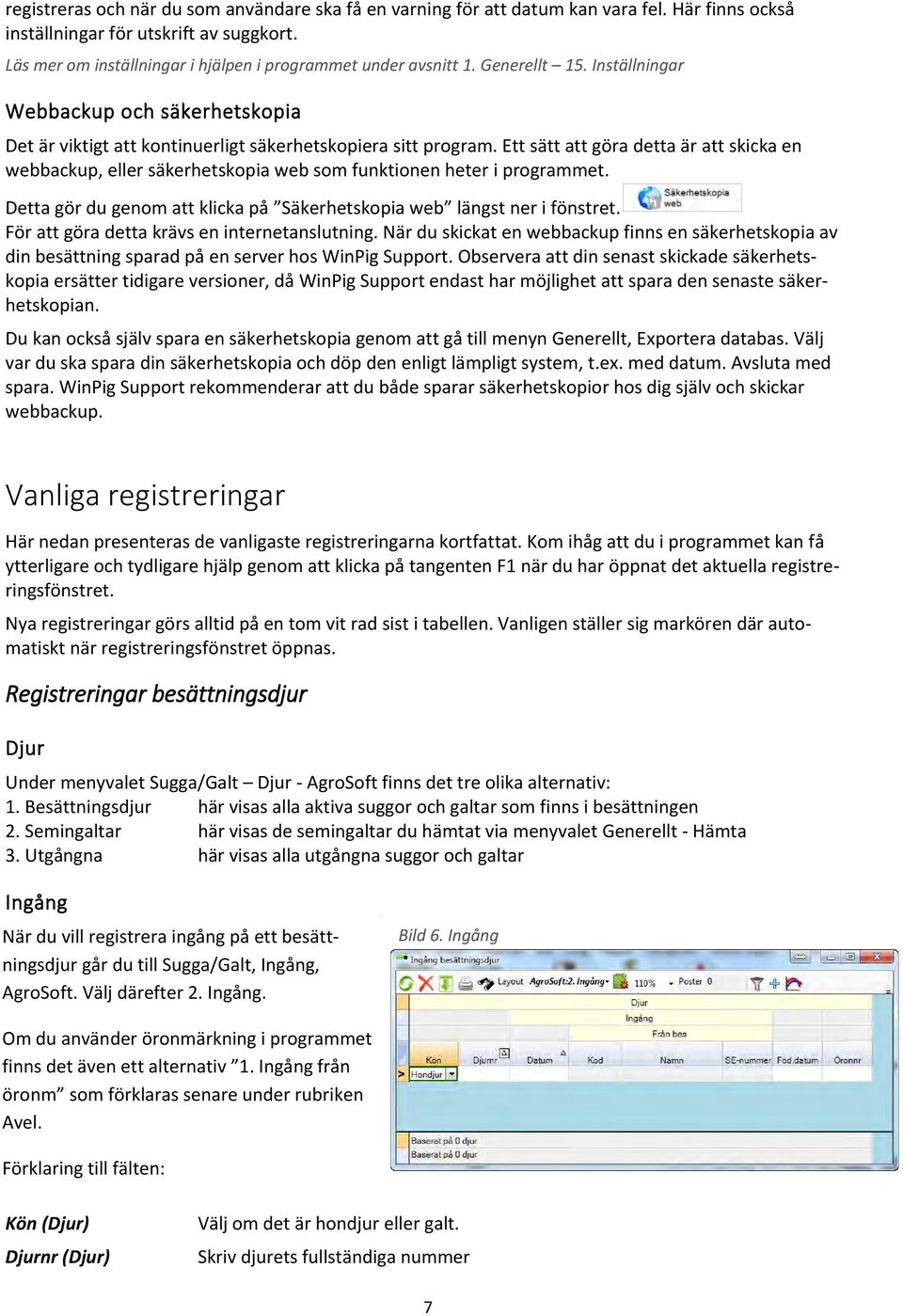 Ett sätt att göra detta är att skicka en webbackup, eller säkerhetskopia web som funktionen heter i programmet. Detta gör du genom att klicka på Säkerhetskopia web längst ner i fönstret.