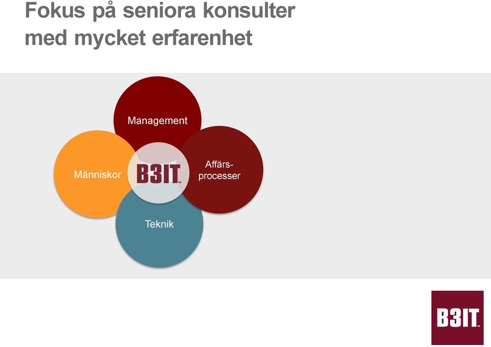 erfarenhet Management