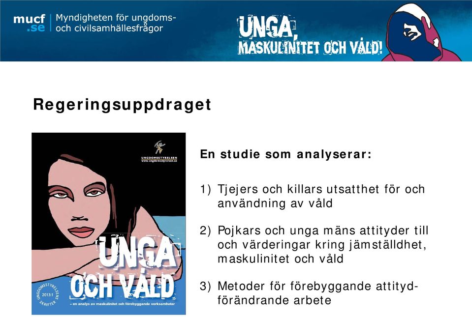 unga mäns attityder till och värderingar kring jämställdhet,