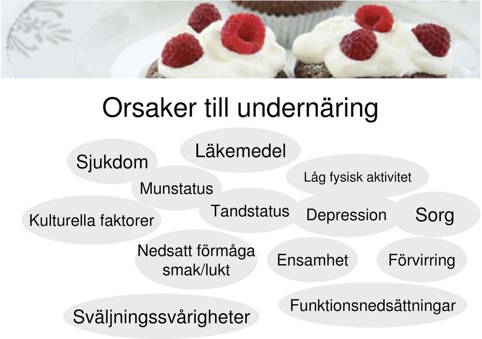 Depression Sorg Nedsatt förmåga smak/lukt Ensamhet