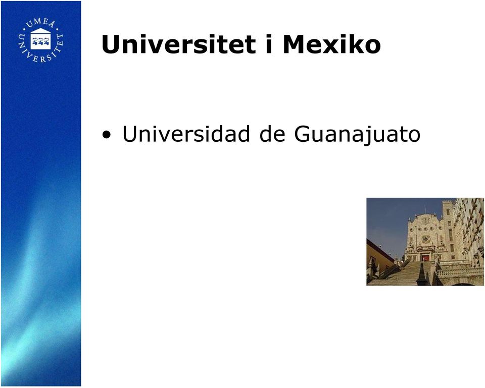 Universidad