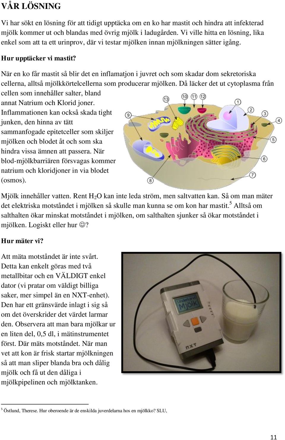 När en ko får mastit så blir det en inflamatjon i juvret och som skadar dom sekretoriska cellerna, alltså mjölkkörtelcellerna som producerar mjölken.