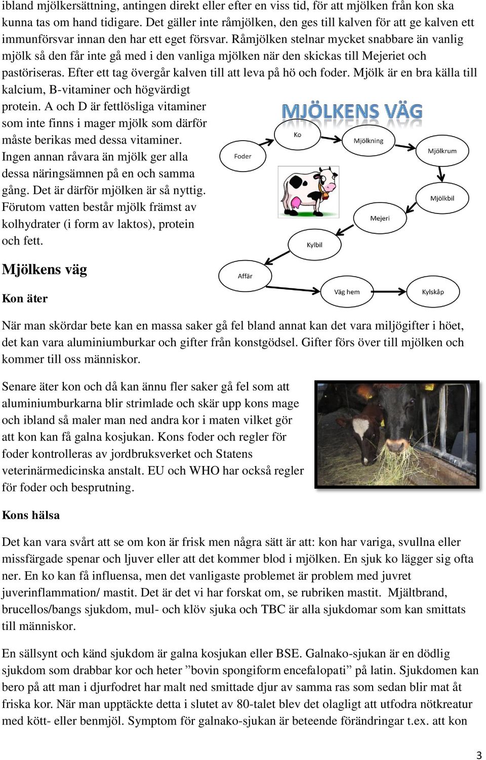 Råmjölken stelnar mycket snabbare än vanlig mjölk så den får inte gå med i den vanliga mjölken när den skickas till Mejeriet och pastöriseras.