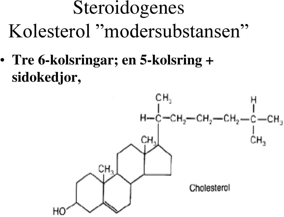 modersubstansen Tre