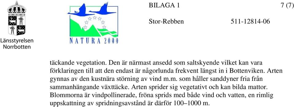 längst in i Bottenviken. Arten gynnas av den kustnära störning av vind m.