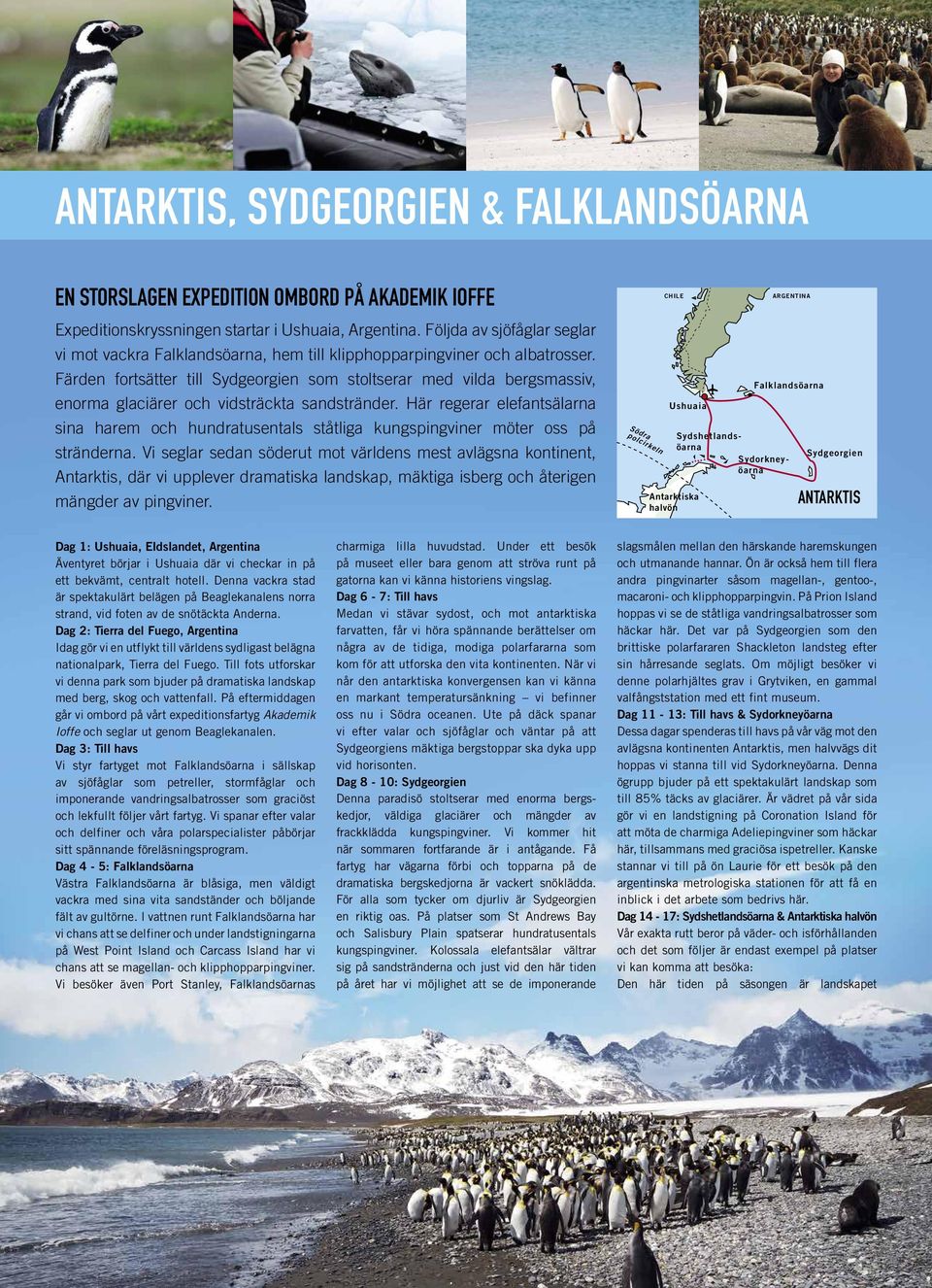 Färden fortsätter till Sydgeorgien som stoltserar med vilda bergsmassiv, enorma glaciärer och vidsträckta sandstränder.