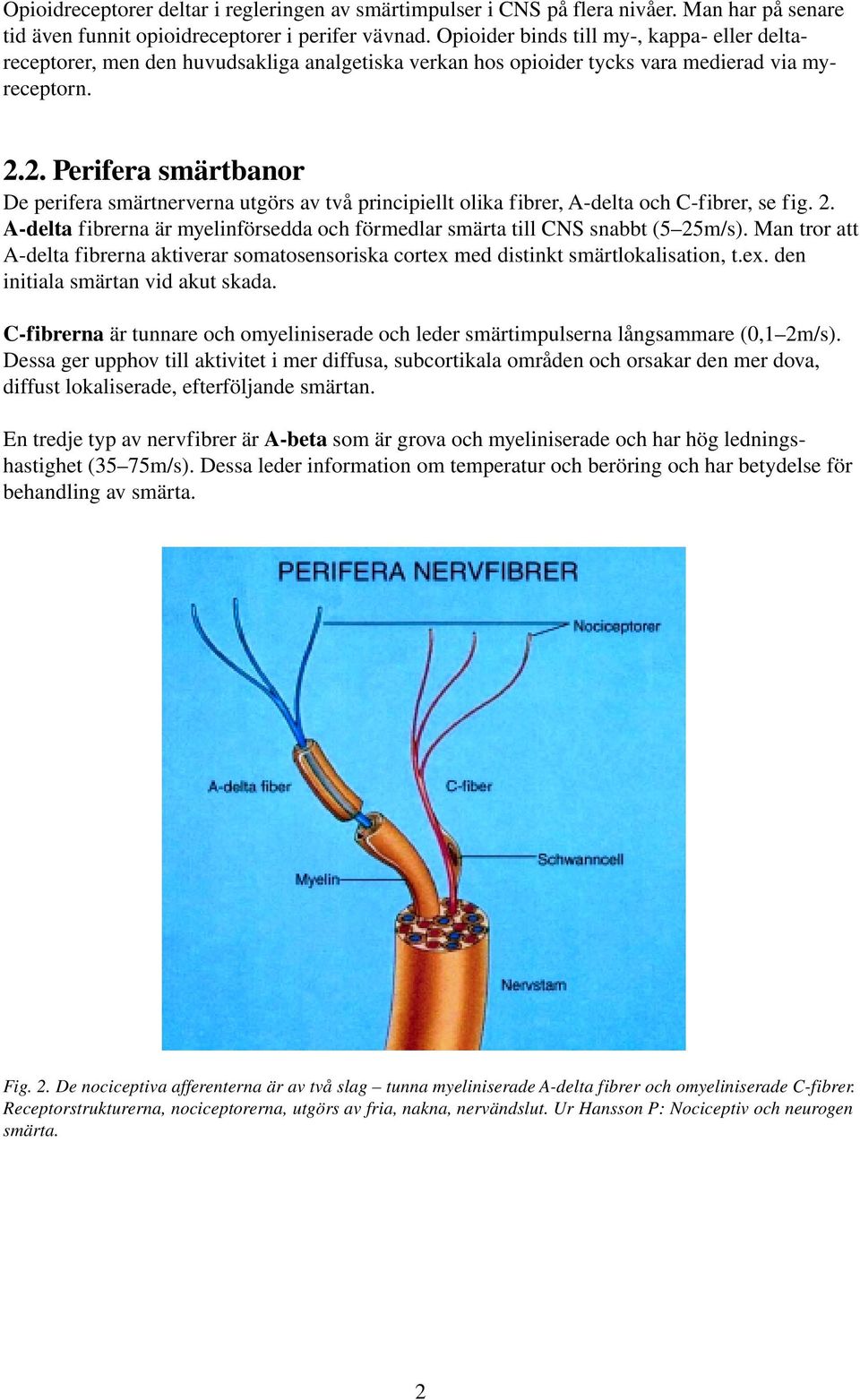 2. Perifera smärtbanor De perifera smärtnerverna utgörs av två principiellt olika fibrer, A-delta och C-fibrer, se fig. 2.