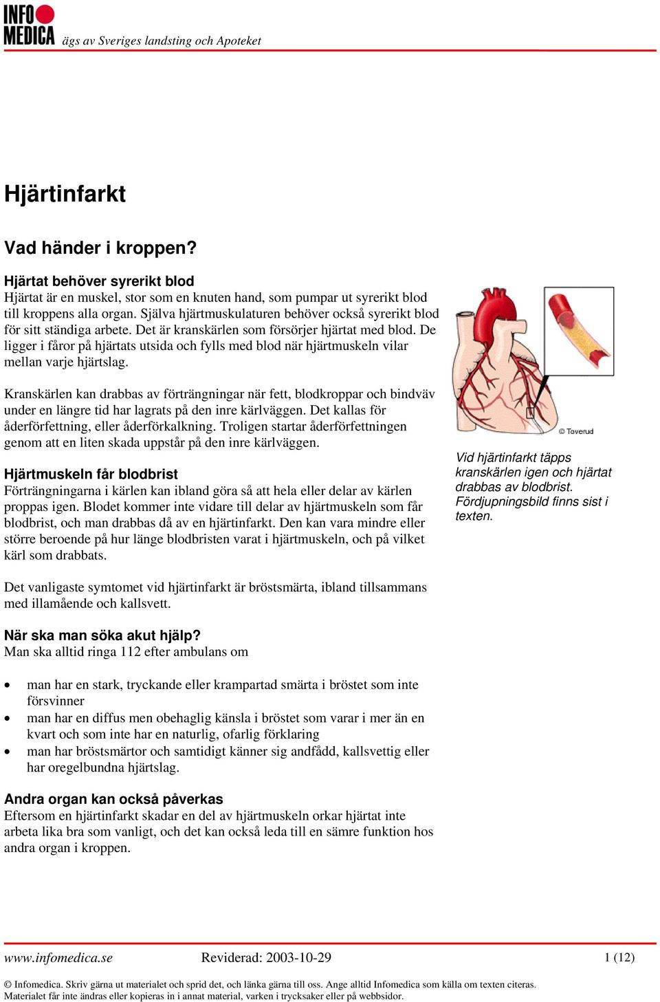 De ligger i fåror på hjärtats utsida och fylls med blod när hjärtmuskeln vilar mellan varje hjärtslag.