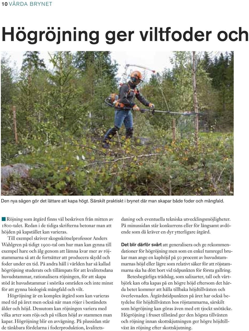 Till exempel skriver skogsskötselprofessor Anders Wahlgren på tidigt 1900-tal om hur man kan gynna till exempel hare och älg genom att lämna kvar mer av röjstammarna så att de fortsätter att