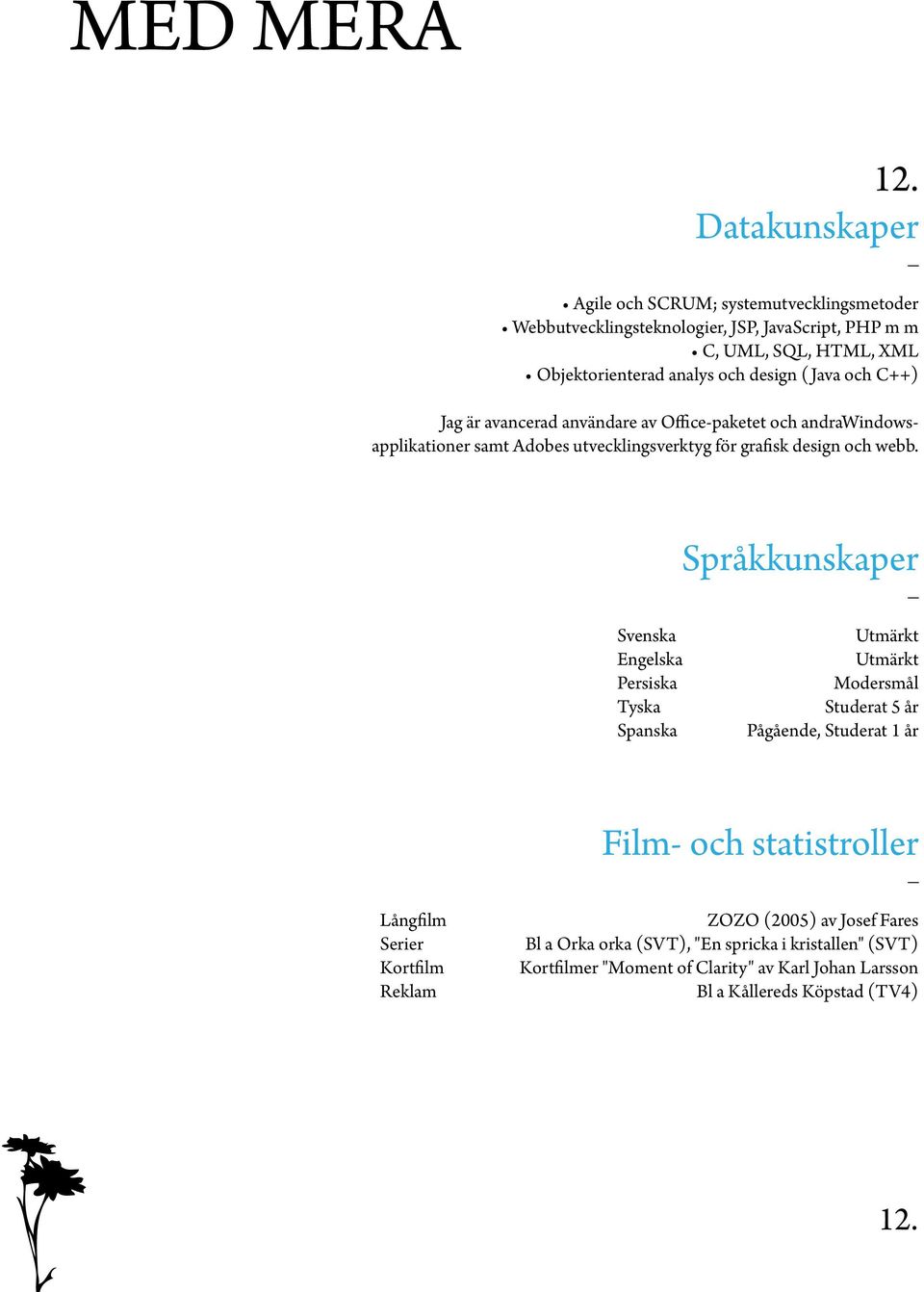 ( Java och C++) Jag är avancerad användare av Officepaketet och andrawindowsapplikationer samt Adobes utvecklingsverktyg för grafisk design och webb.