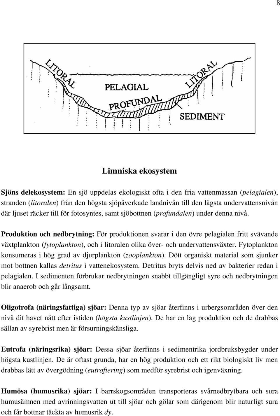 Produktion och nedbrytning: För produktionen svarar i den övre pelagialen fritt svävande växtplankton (fytoplankton), och i litoralen olika över- och undervattensväxter.