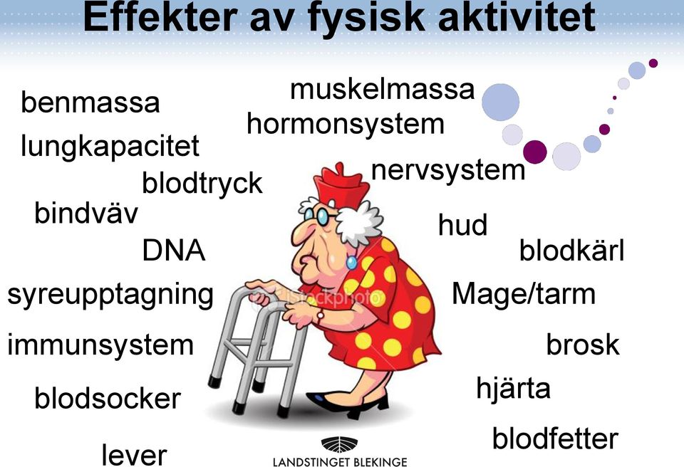 bindväv hud DNA blodkärl syreupptagning Mage/tarm