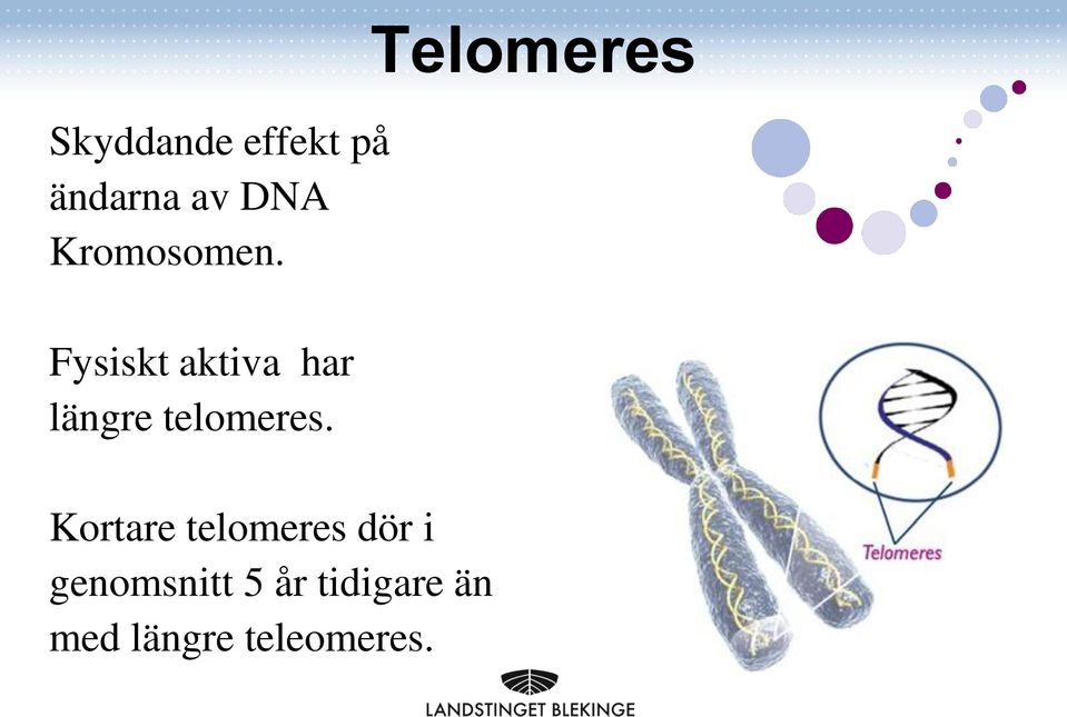 Fysiskt aktiva har längre telomeres.