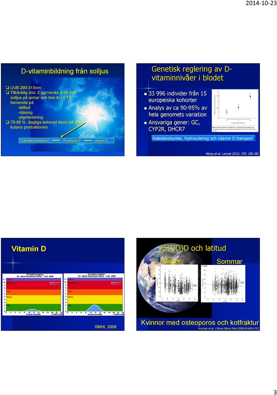 europeiska kohorter n Analys av ca 90-95% av hela genomets variation n Ansvariga gener: GC, CYP2R, DHCR7 n vitamin D3 Kolesterolsyntes, hydroxylering och vitamin D transport