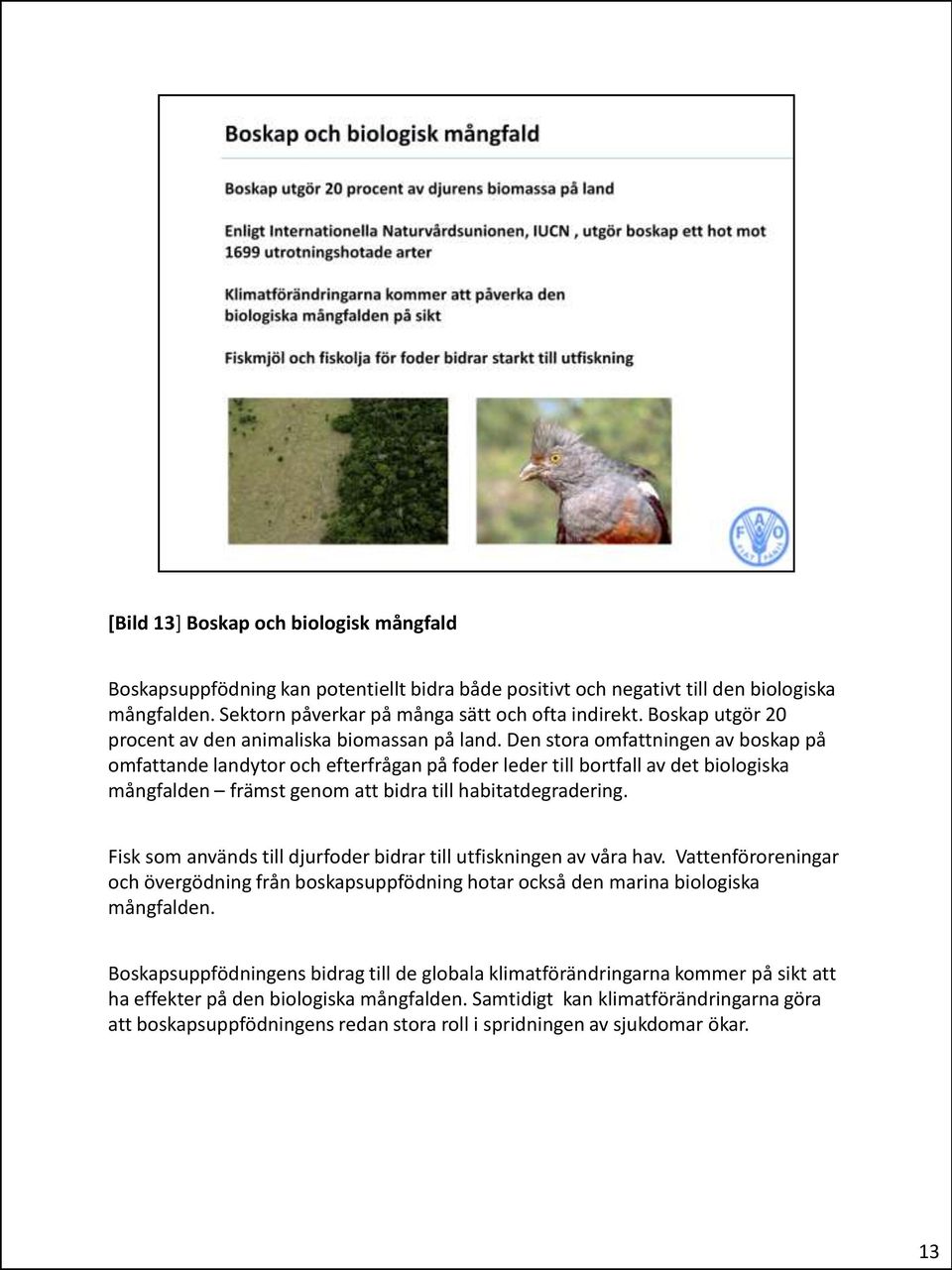 Den stora omfattningen av boskap på omfattande landytor och efterfrågan på foder leder till bortfall av det biologiska mångfalden främst genom att bidra till habitatdegradering.