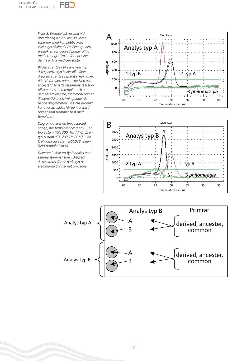 är lika med den sökta. A Analys typ A Melt Peak Bilden visar två olika analyser typ A respektive typ B specifik.