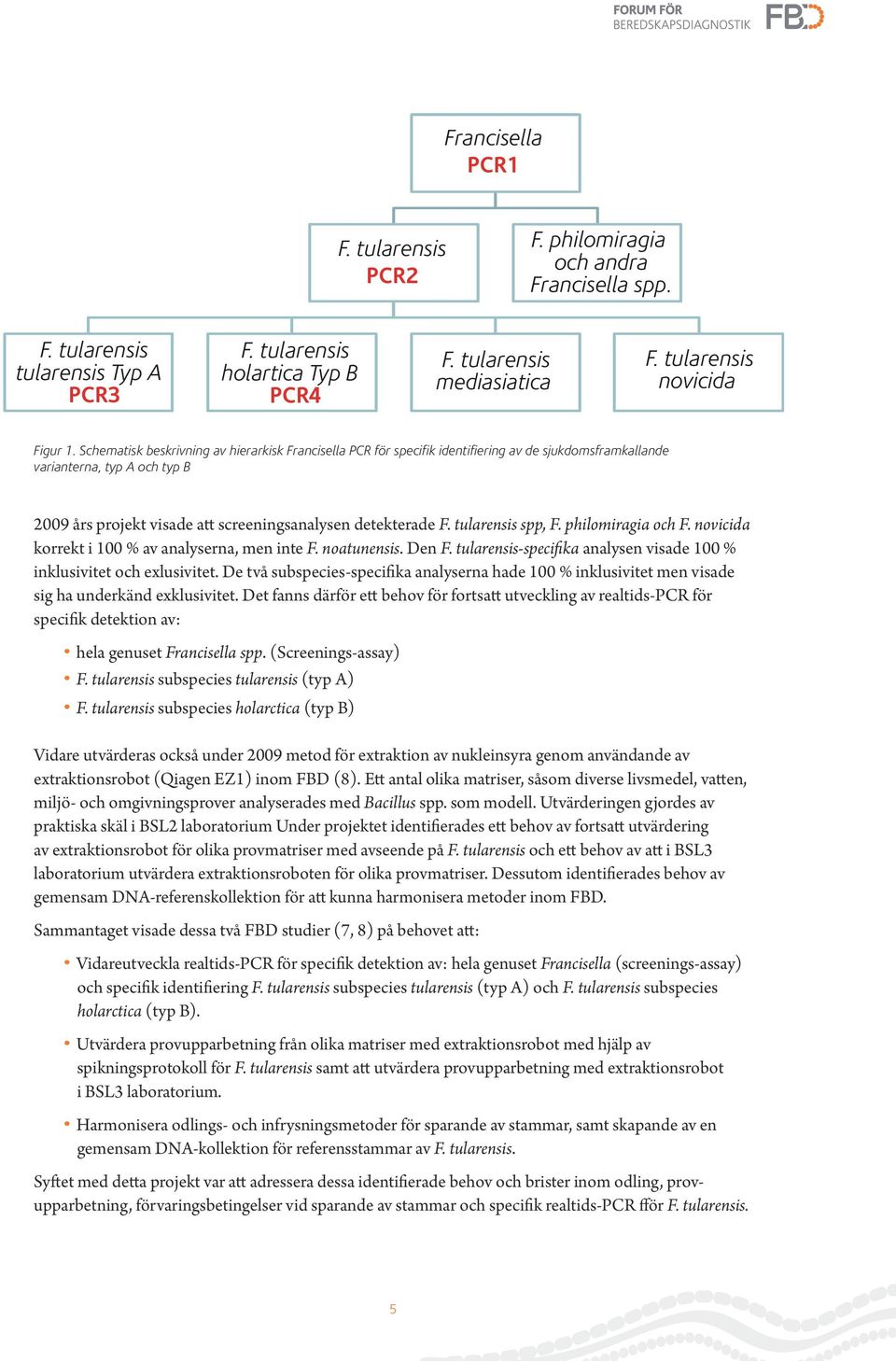 Schematisk beskrivning av hierarkisk Francisella PCR för specifik identifiering av de sjukdomsframkallande varianterna, typ A och typ B 2009 års projekt visade att screeningsanalysen detekterade F.