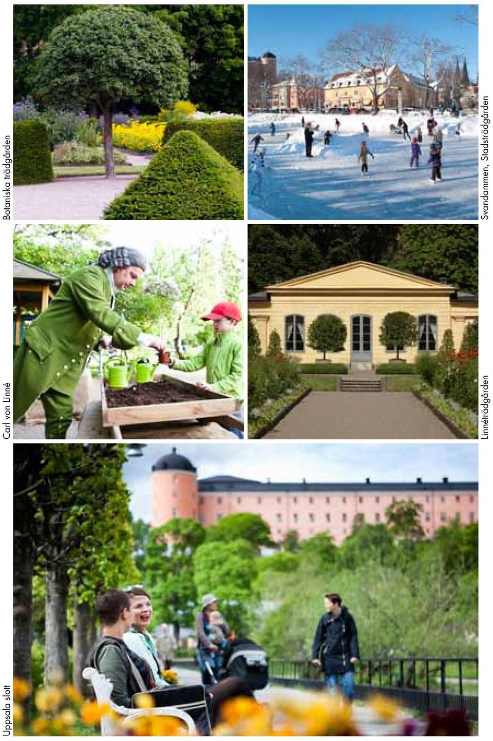 Botaniska trädgården