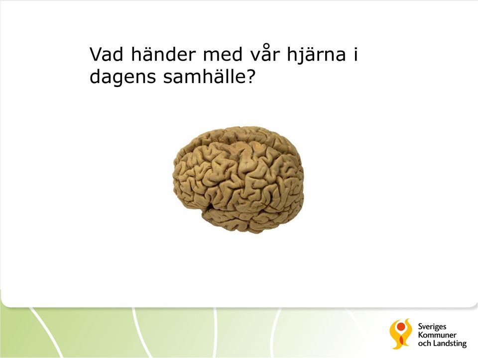 hjärna i